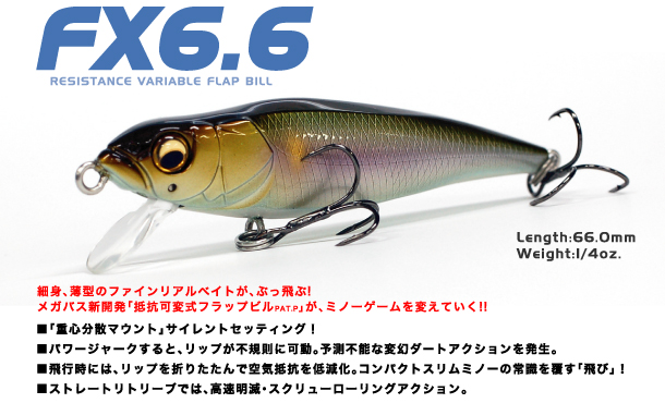 FX6,6_main01.jpg
