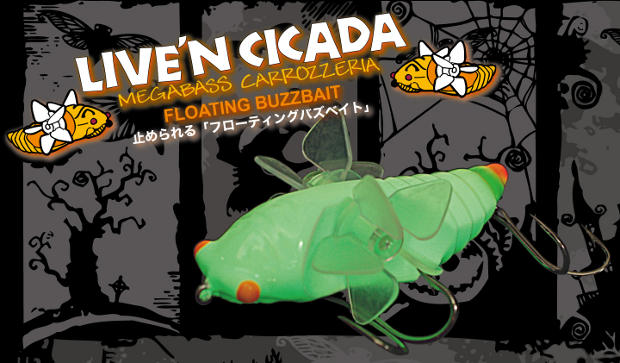 LIVEN CICADA.jpg