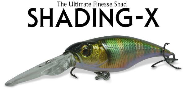 SHADING-X_001.jpg