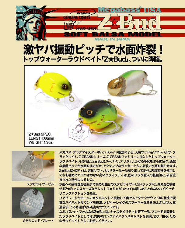 Z-bad_001_new.jpg