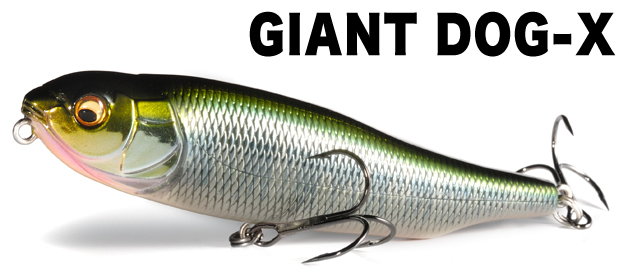 giantdogx_MAIN.jpg