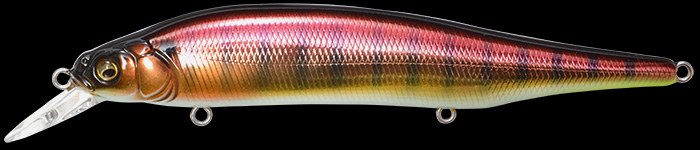 ITO SHINER | Megabass-メガバス