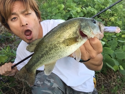 ブログ0724c