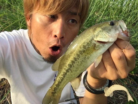 ブログ0817a