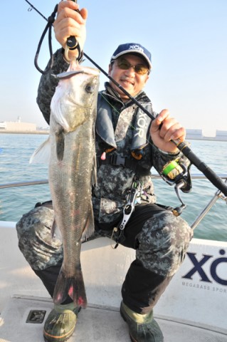 New Rod “Silver Shadow XX” | Megabass-メガバス