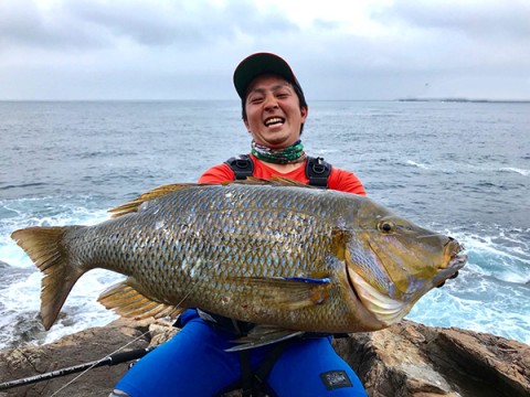 ハチマルマグナムでタマン76㎝17lb！ | Megabass-メガバス