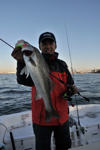 New Rod “Silver Shadow XX” | Megabass-メガバス