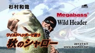 $杉村 和哉　琵琶湖ﾌﾞﾗｯｸﾊﾞｽﾌｨｯｼﾝｸﾞﾌﾟﾛガイド 熱-HEAT-!!!blog