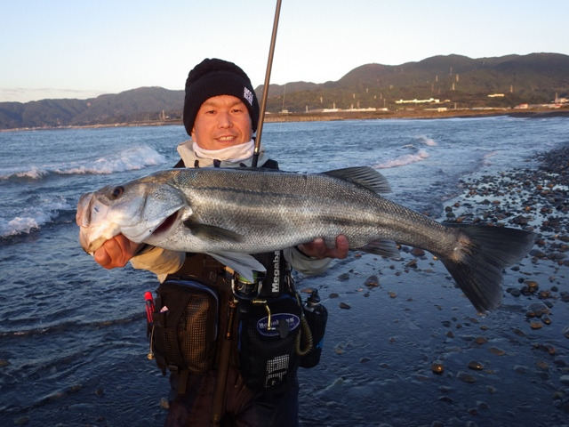 魚が気づいた時、それは ・・・ 時すでにお寿司 魚が気づいた時、それは ・・・ 時すでにお寿司