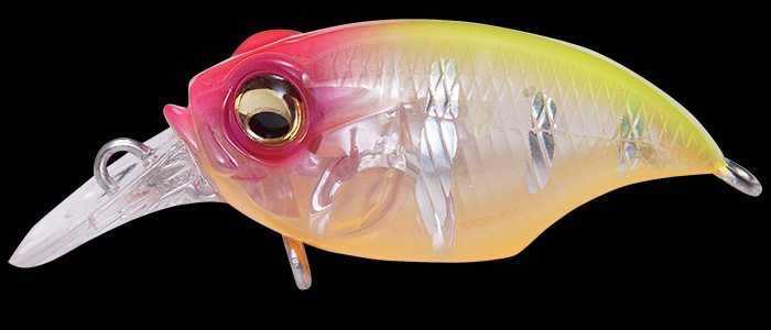 Megabass New Griffon SR-X (Neu und originalverpackt) in Wil SG für CHF Megabass New Griffon SR-X (Neu und originalverpackt) in Wil SG für CHF