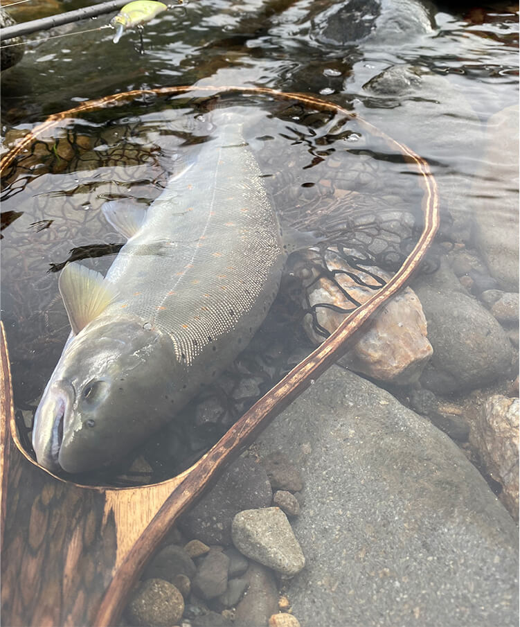 GREAT HUNTING HUNTSMAN | Megabass-メガバス