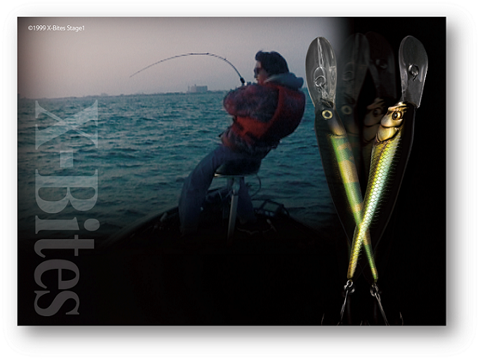 LIVE-X | Megabass-メガバス