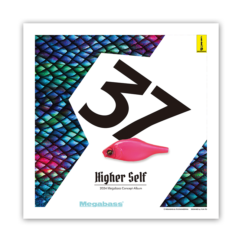 2024 Megabass NewArrivals | Megabass-メガバス