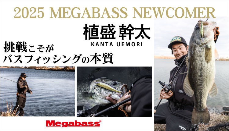 2025 Megabass NewArrivals | Megabass-メガバス