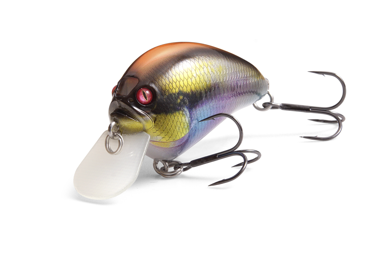 2025 Megabass NewArrivals | Megabass-メガバス