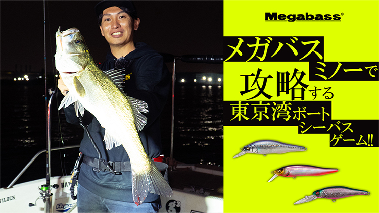 ホビー・楽器・アート 2027X X-80SW | Megabass-メガバス