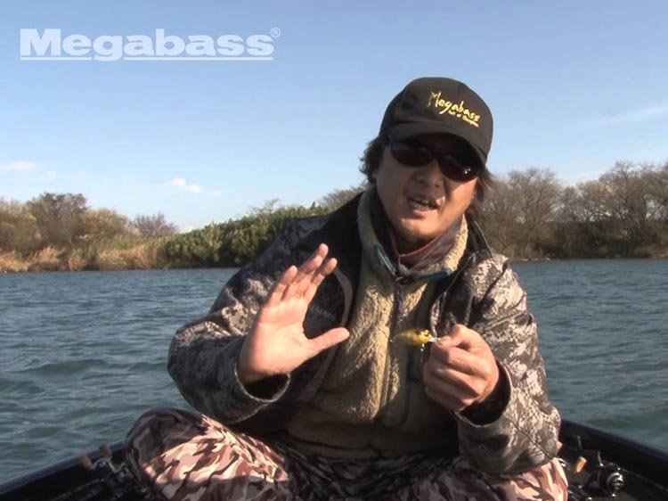 Sr X Griffon Megabass メガバス