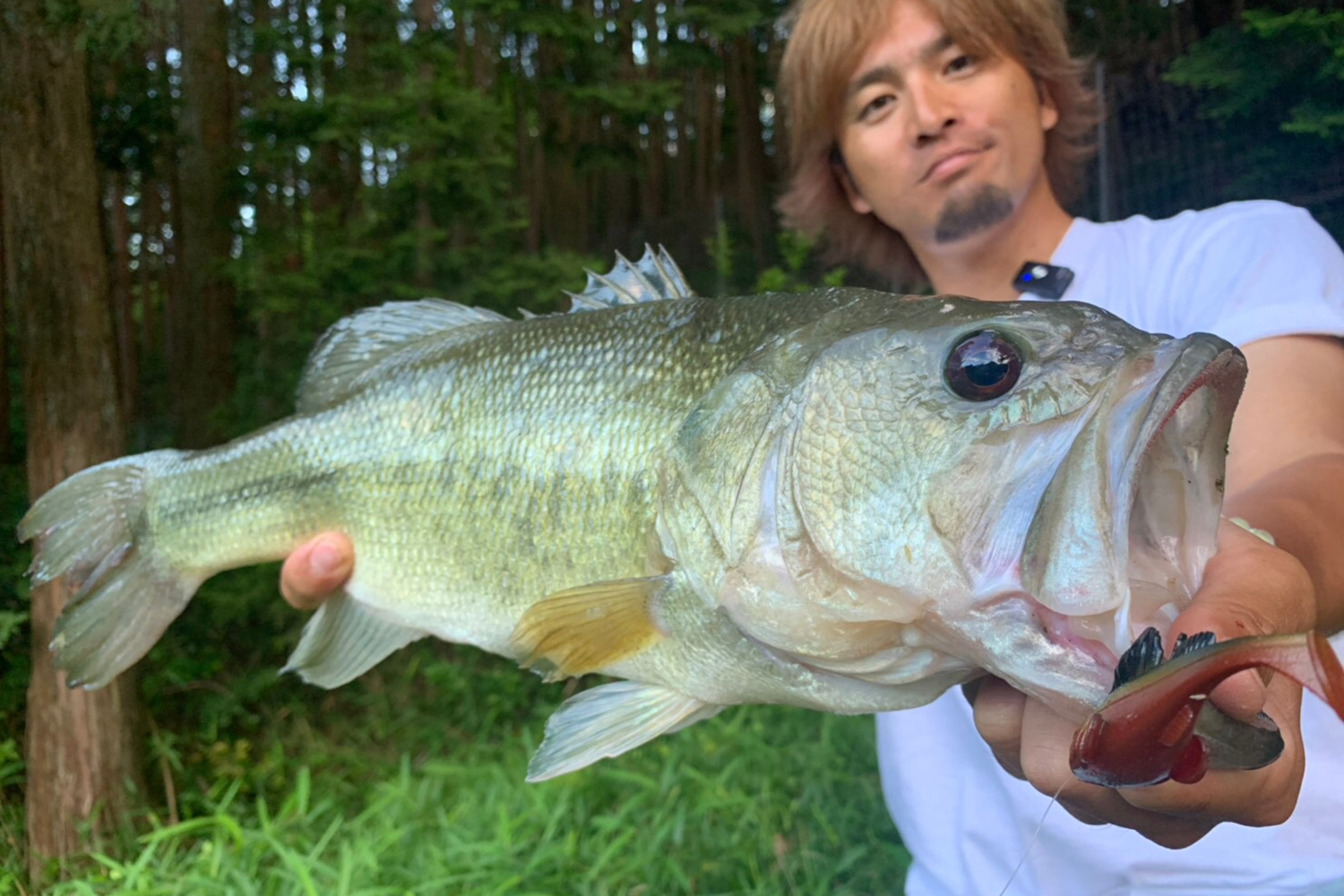 DARK SLEEPER | Megabass-メガバス