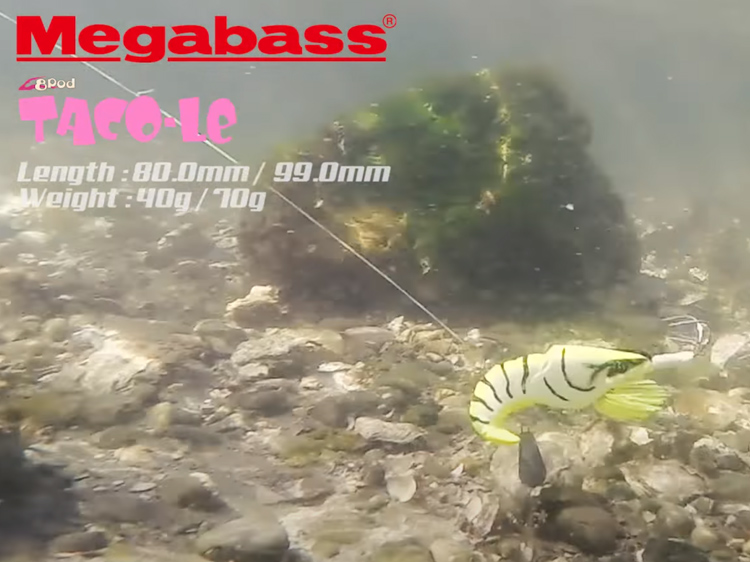 TACO-LE | Megabass-メガバス