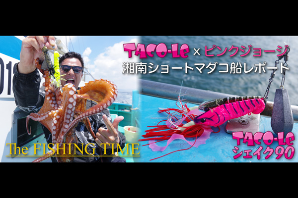 TACO-LE × ピンクジョージ・湘南ショートマダコ船レポート TACO-LE × ピンクジョージ・湘南ショートマダコ船レポート