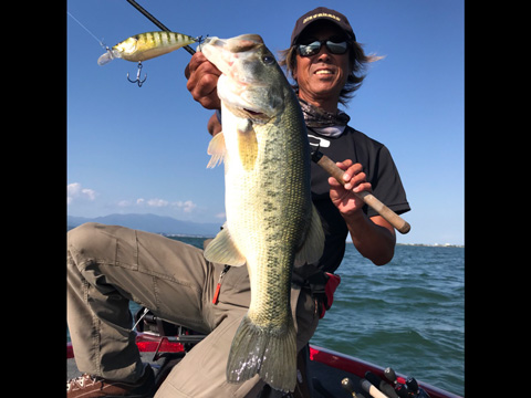 big m 4 0 megabass メガバス