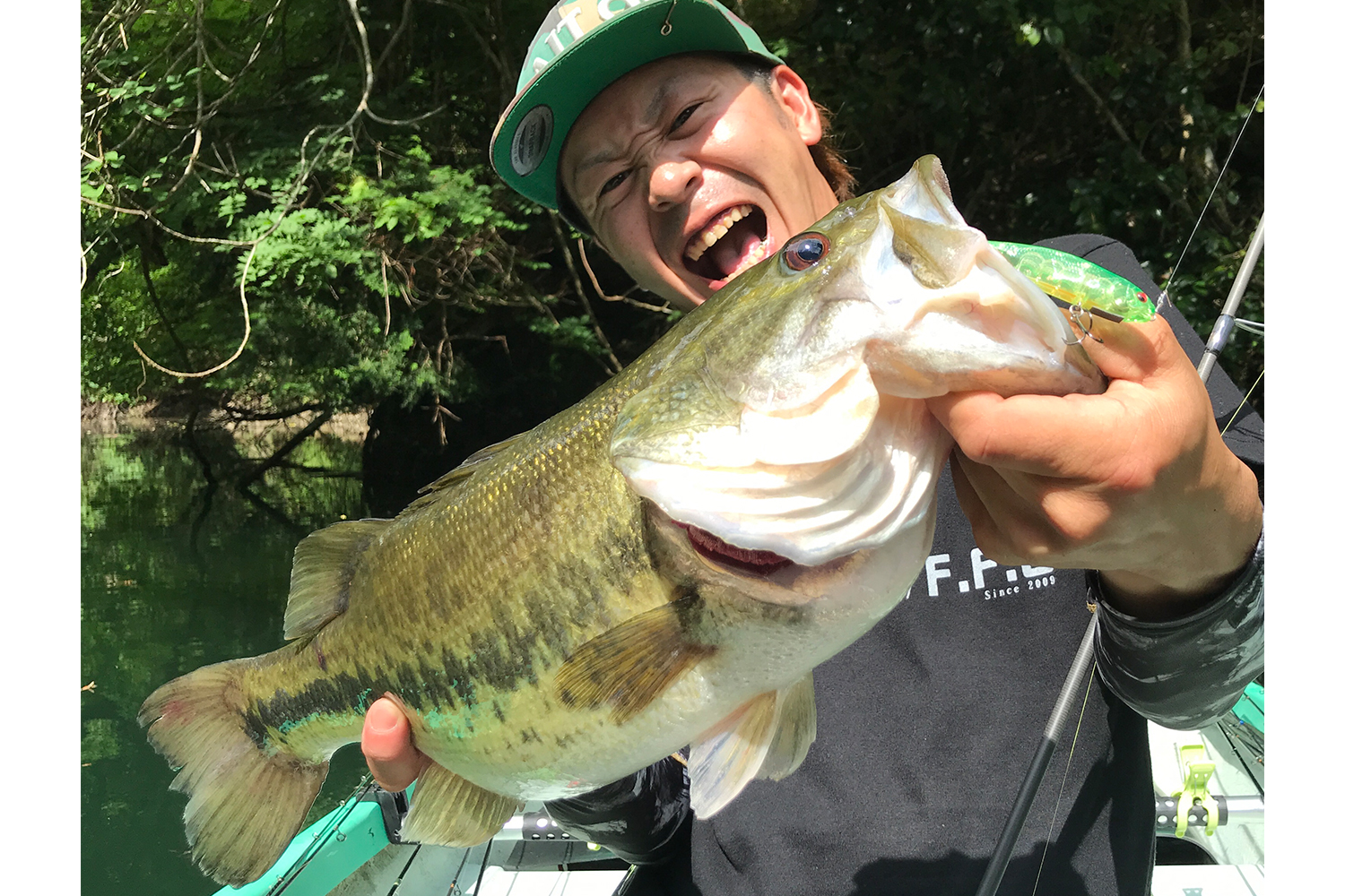 KARASHI | Megabass-メガバス