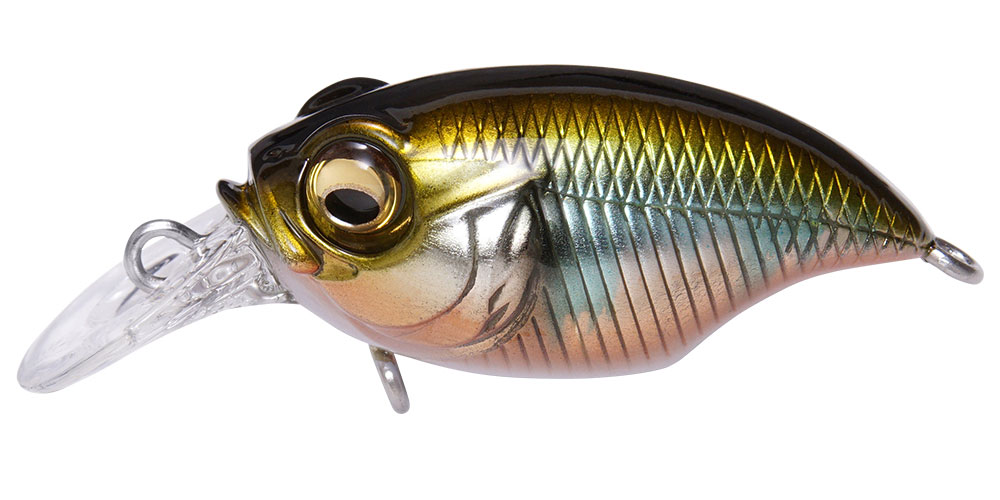 GRIFFON Bait Finesse SR-X | Megabass-メガバス