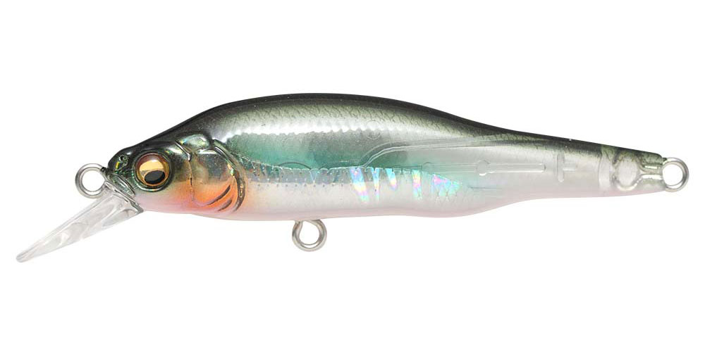送料無料 MOREBAITS MAX80g ソリットティップ オーシャン