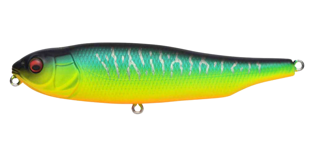 GIANT DOG-X | Megabass-メガバス