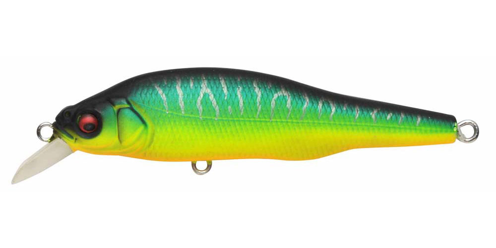PROP DARTER 80 | Megabass-メガバス