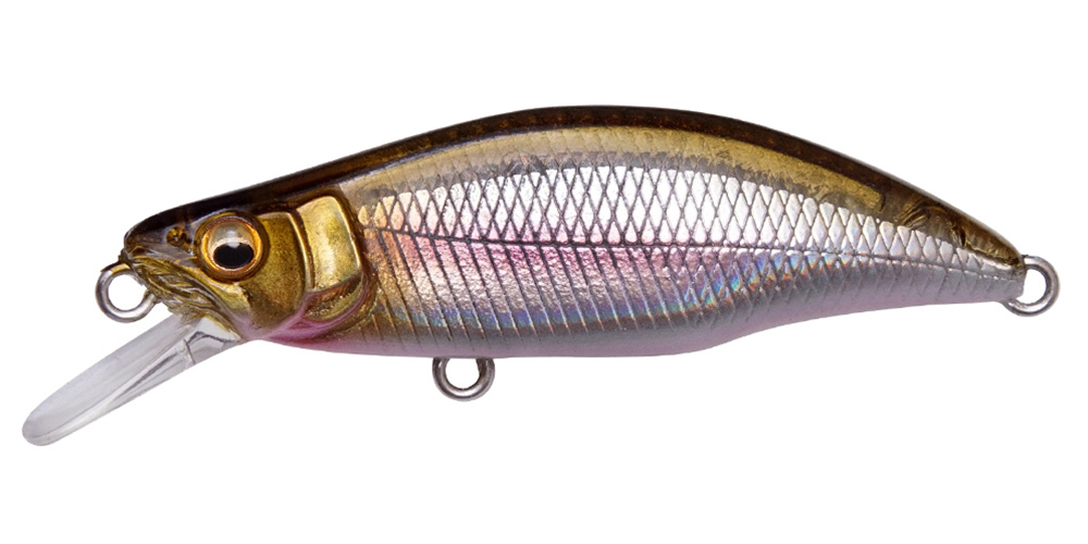 GH51 HUMPBACK | Megabass-メガバス