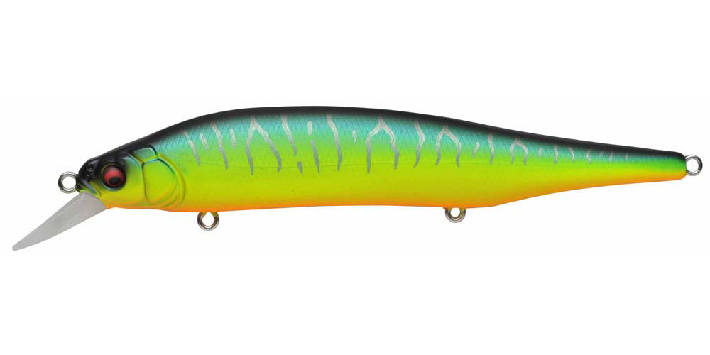 ITO SHINER | Megabass-メガバス