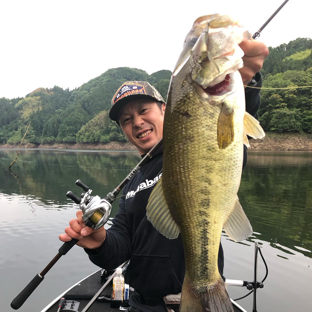 Leurre Megabass I-Wing Triple Fry Floating Pagani Raigyo (7644) - 80 Mm - Neuf