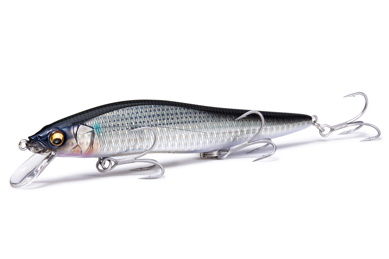 Saltwater Megabass メガバス Saltwater Megabass メガバス
