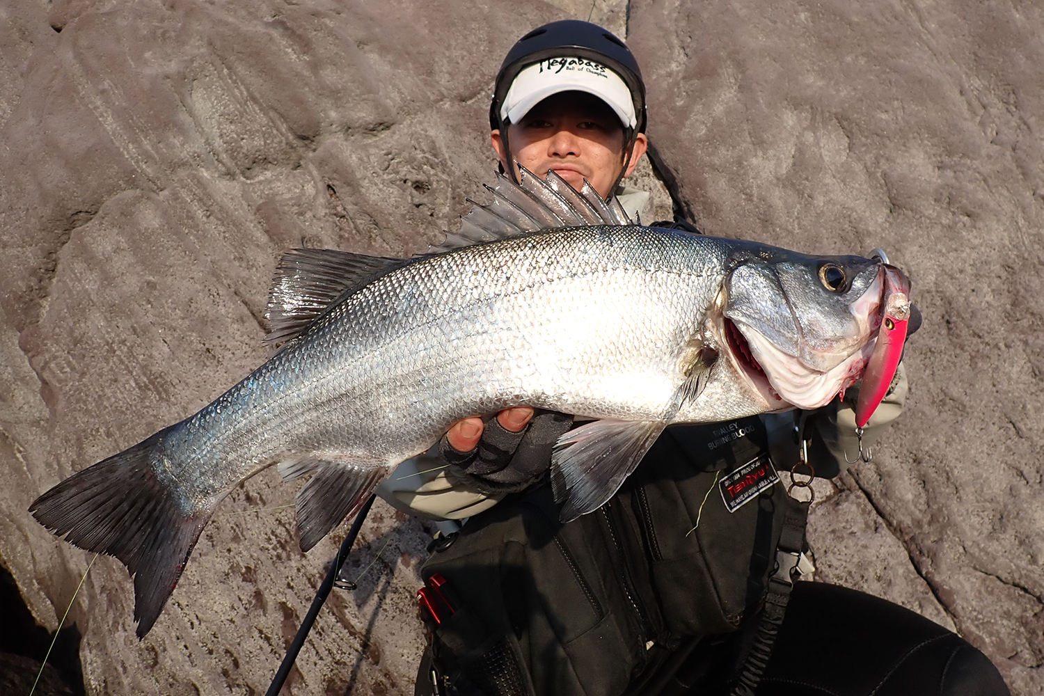 メガバス カゲロウ MD 125 | www.goodasgoldtraining.com