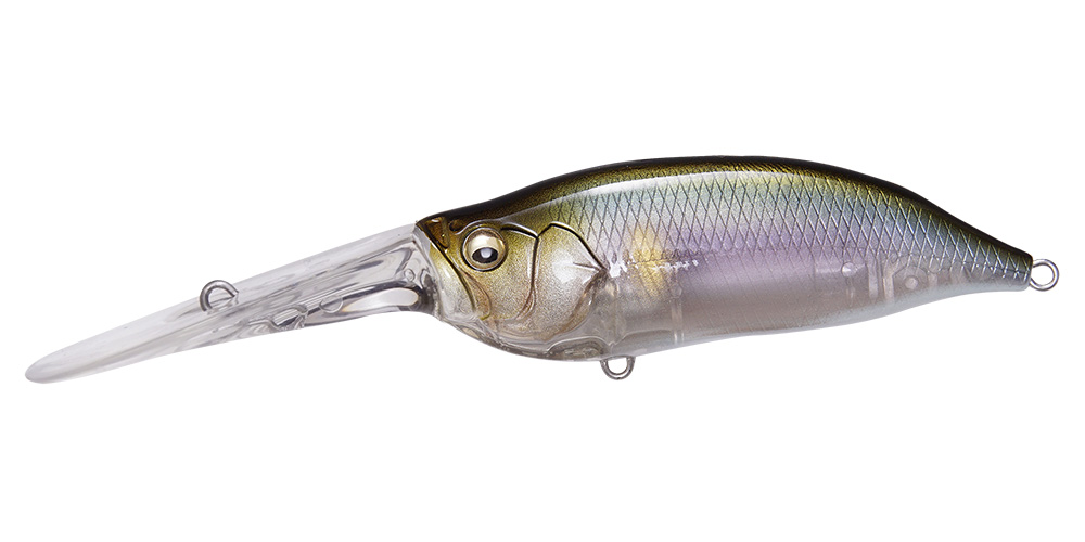IxI SHAD TX | Megabass-メガバス