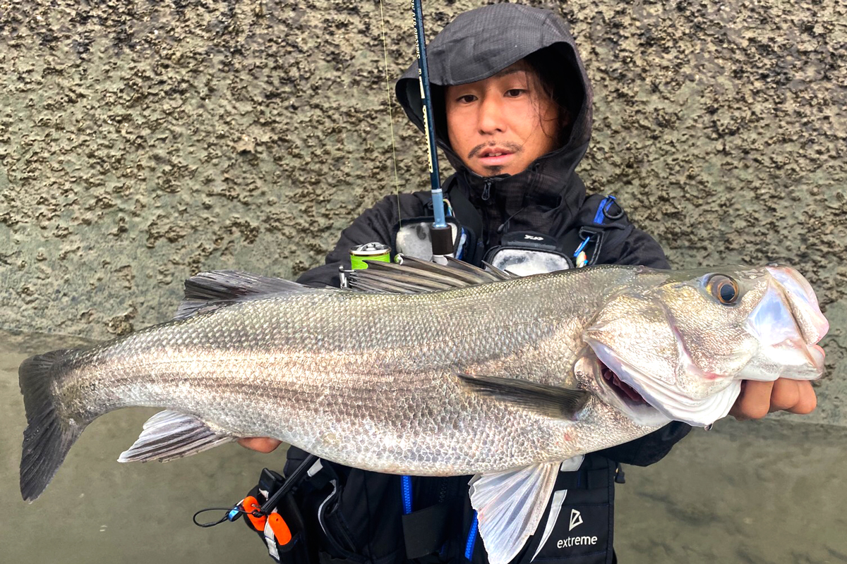 福田 雅宏