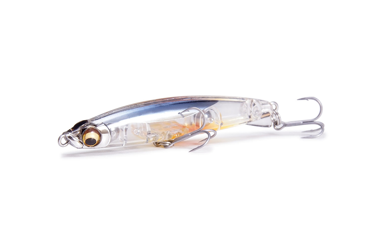 Megabass Official Fimo Blog Collieで春を満喫中