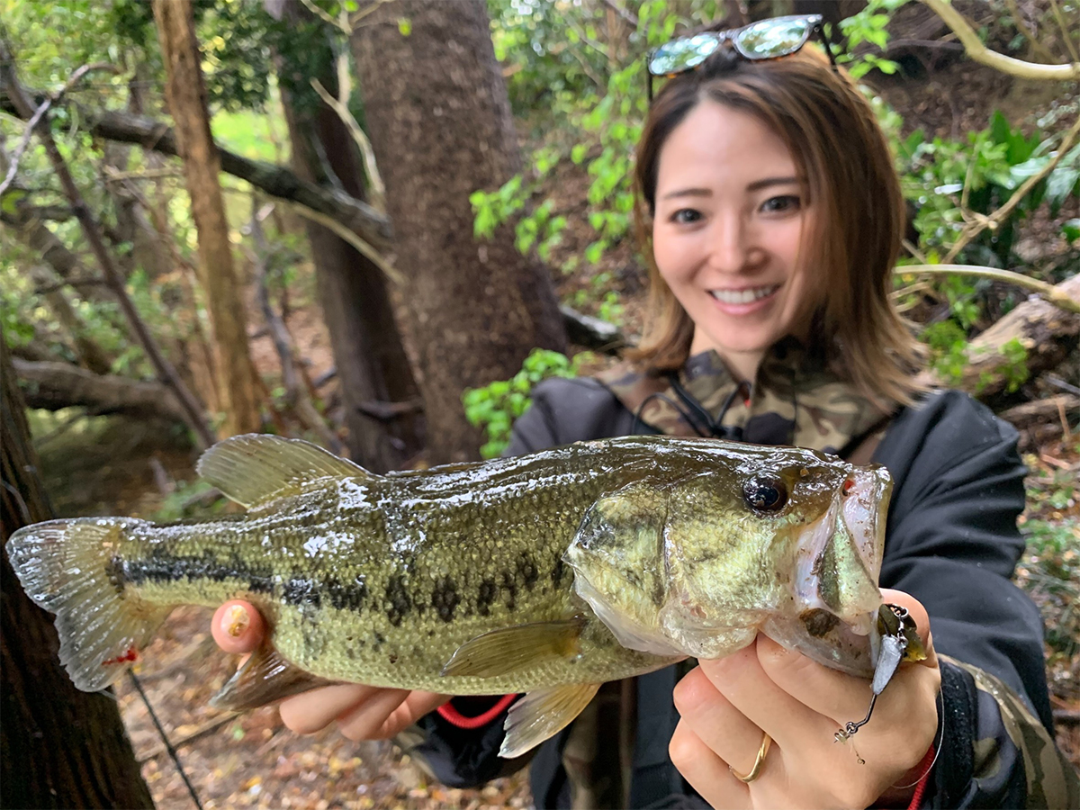 私のド定番、ハゼドンシャッド3インチで | Megabass-メガバス
