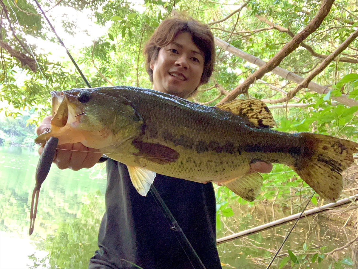 狩野 陽