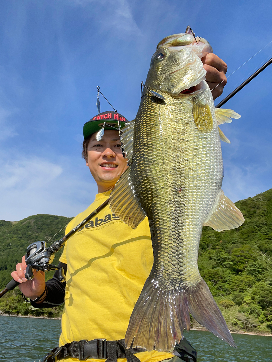 狩野 陽