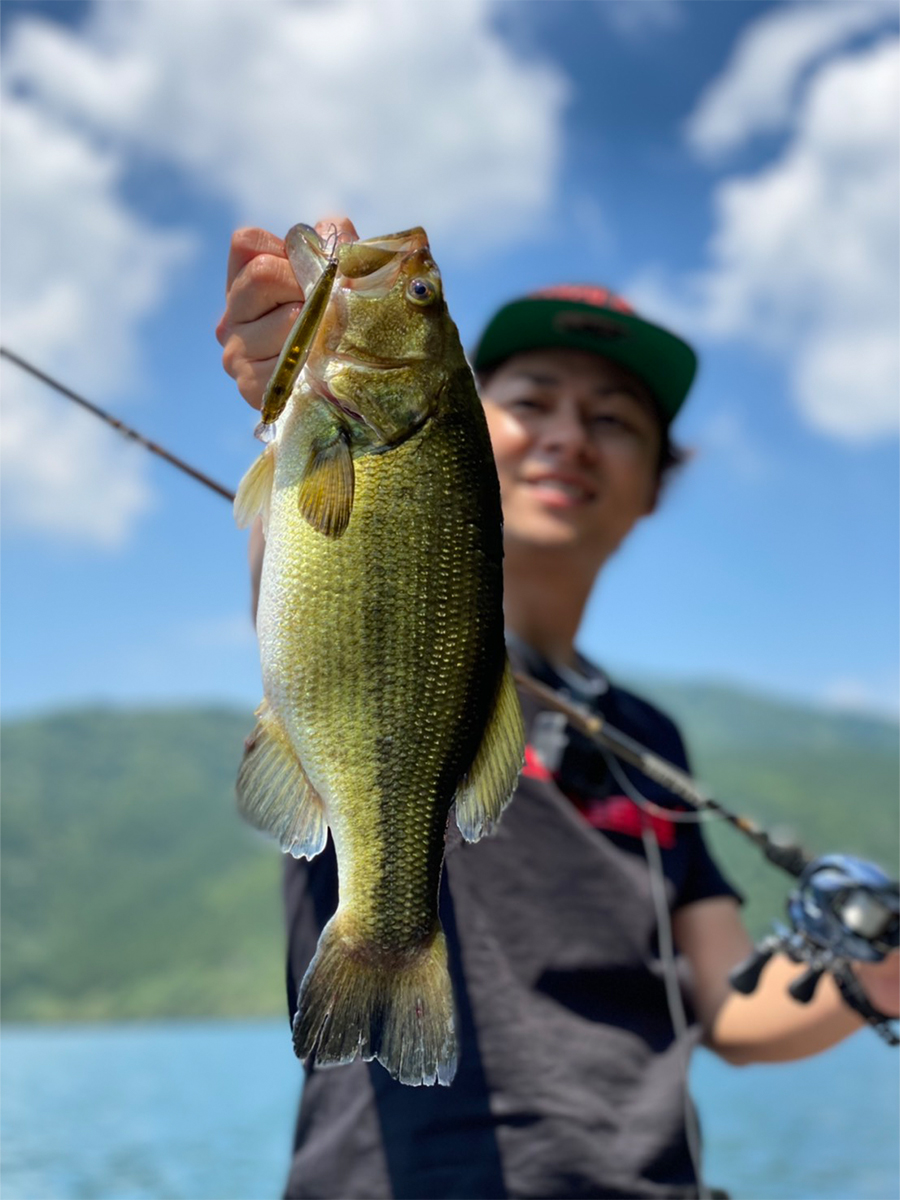 狩野 陽