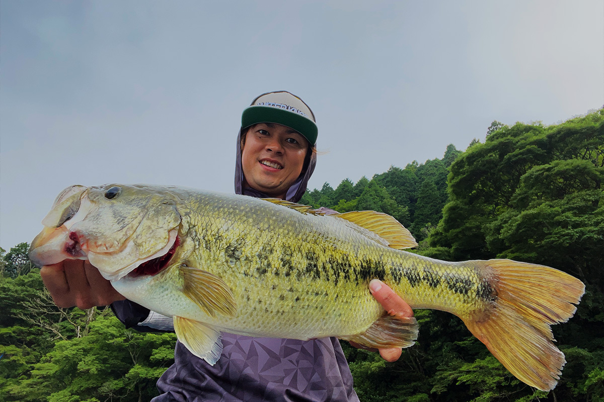 狩野 陽