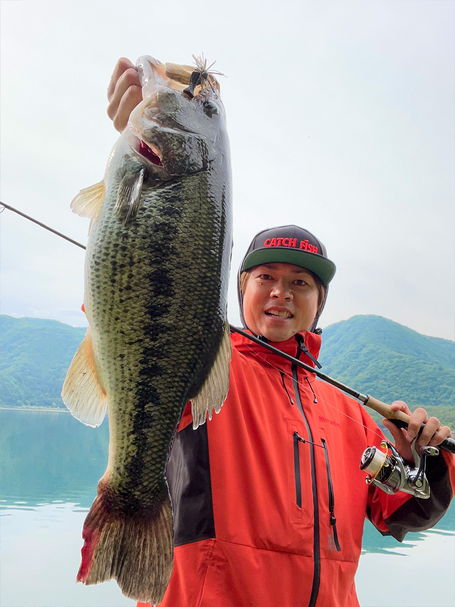 狩野 陽