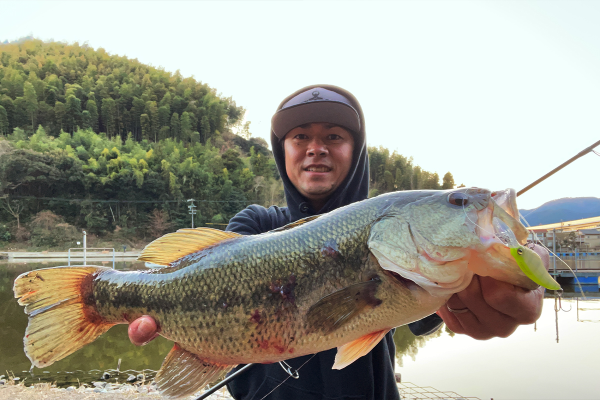 狩野 陽