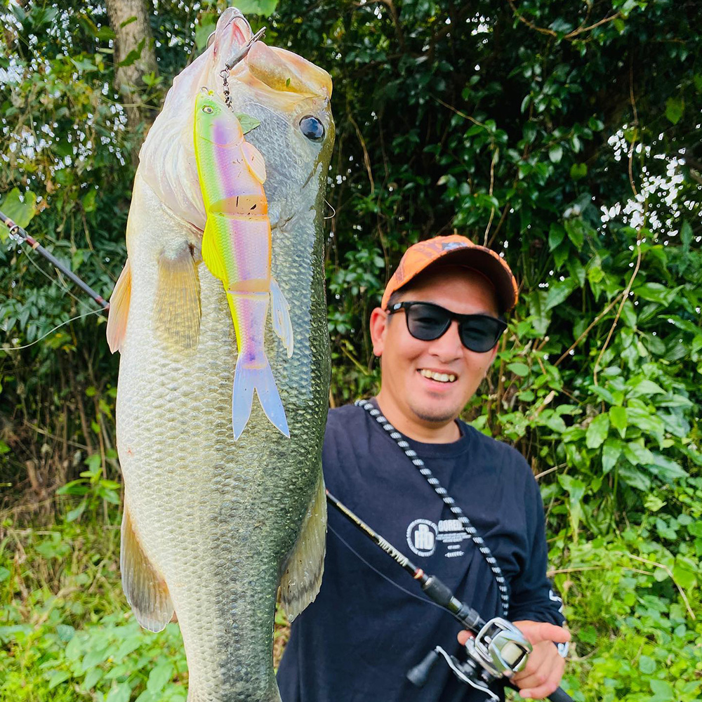 Megabass Leurre Souple Mag Draft Hasu Raver - 18cm - 36.9g