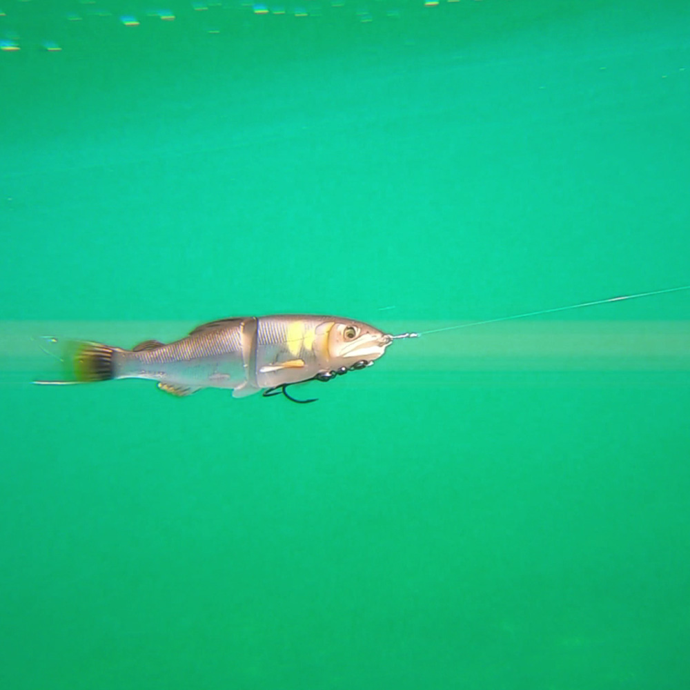 メガバス マグドラフト 鮎トゥイッチャー ピンクバックギャラクシー ルアー用品 lincrew.main.jp