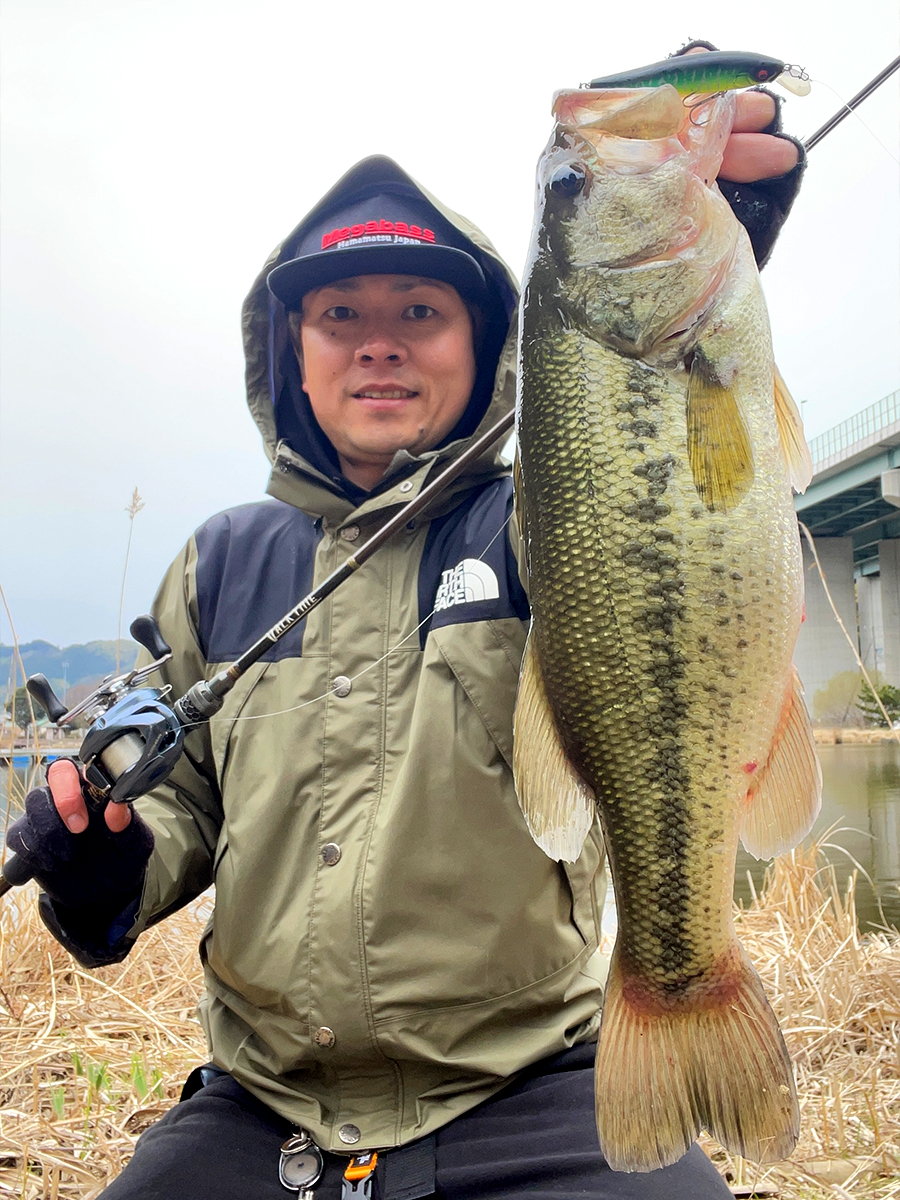 狩野 陽