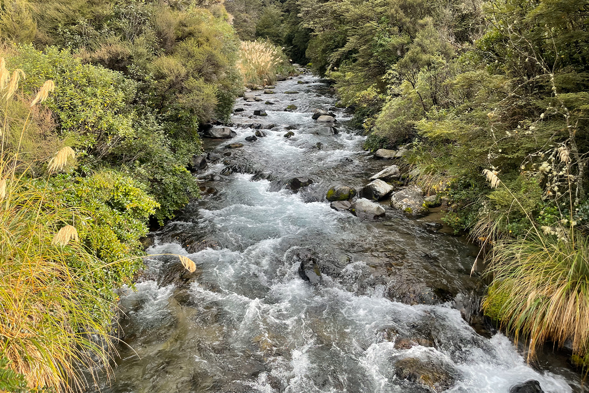 福山 正和