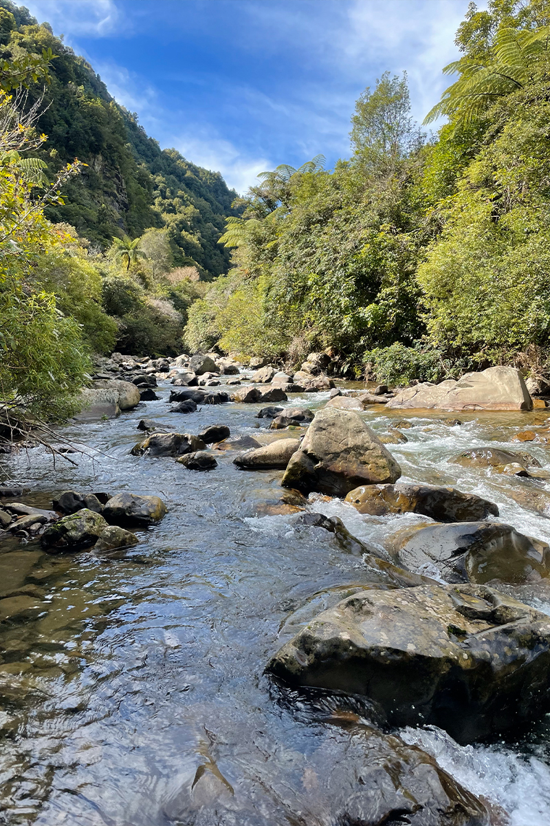 福山 正和